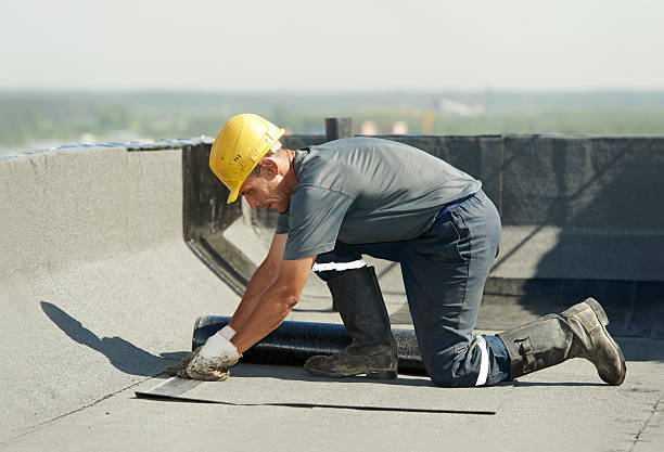 Best Specialized Insulation Services in Fairfax, OH